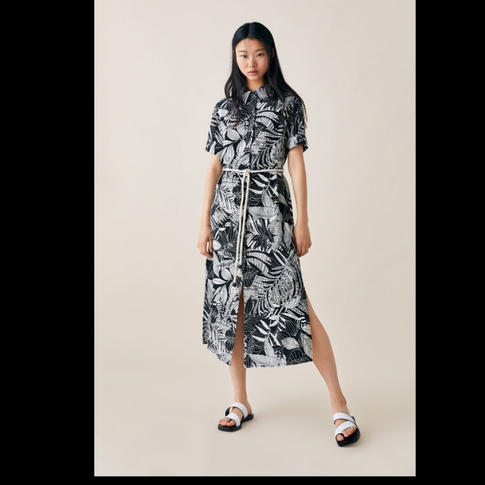 Zara button down dress